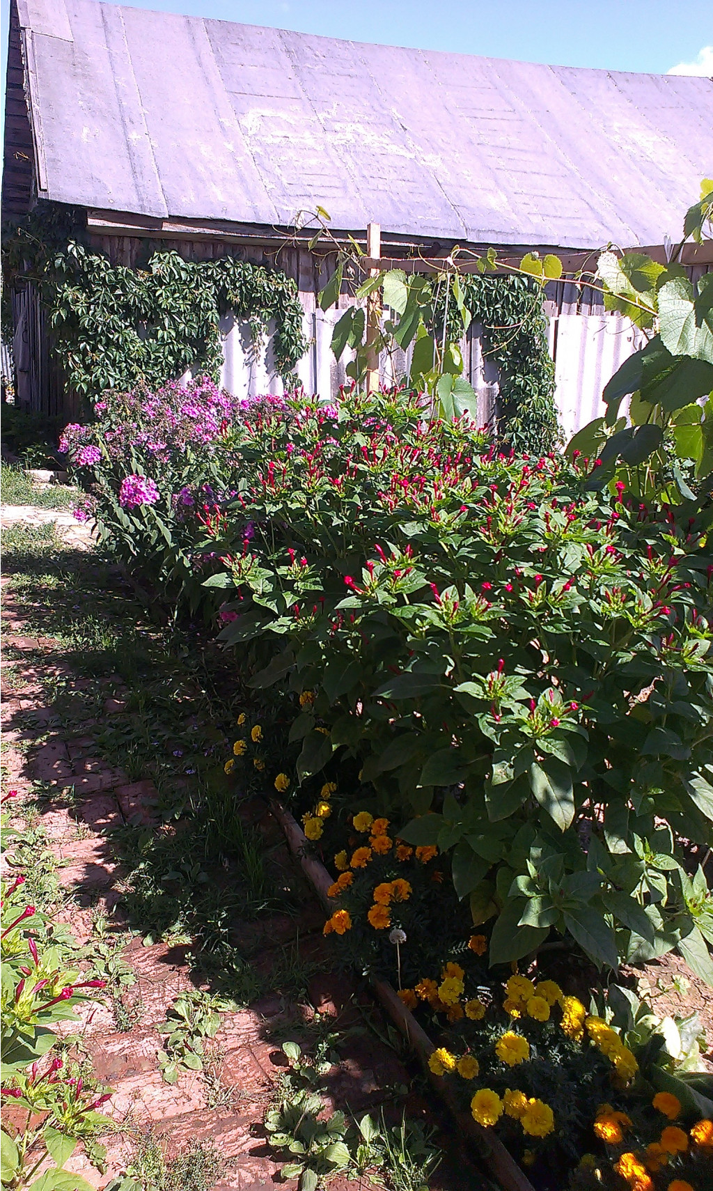 IMAG0045[1]