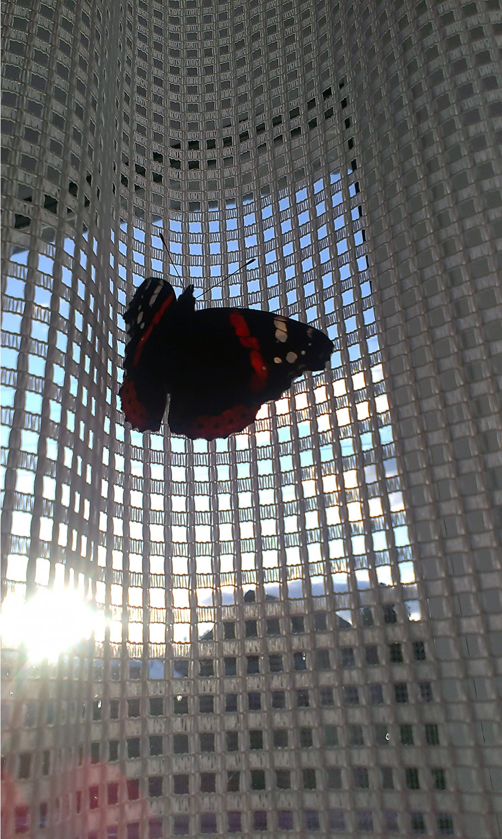 IMAG0123[1]