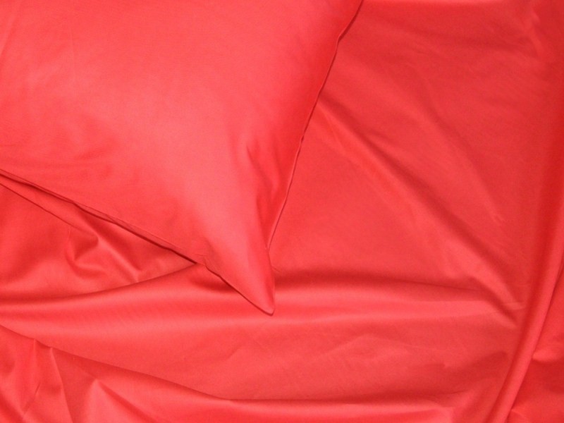   «Red Satin».JPG