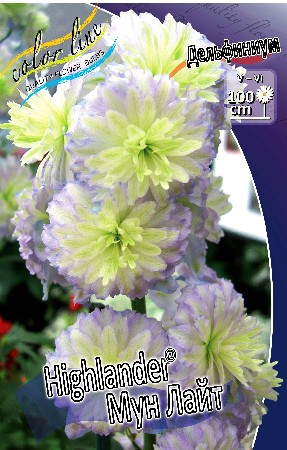 238_Delphinium Highlander Moon Light 193,7 .  1 .jpg