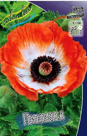 431_Papaver Pinnacle 164,5 .  2 .jpg