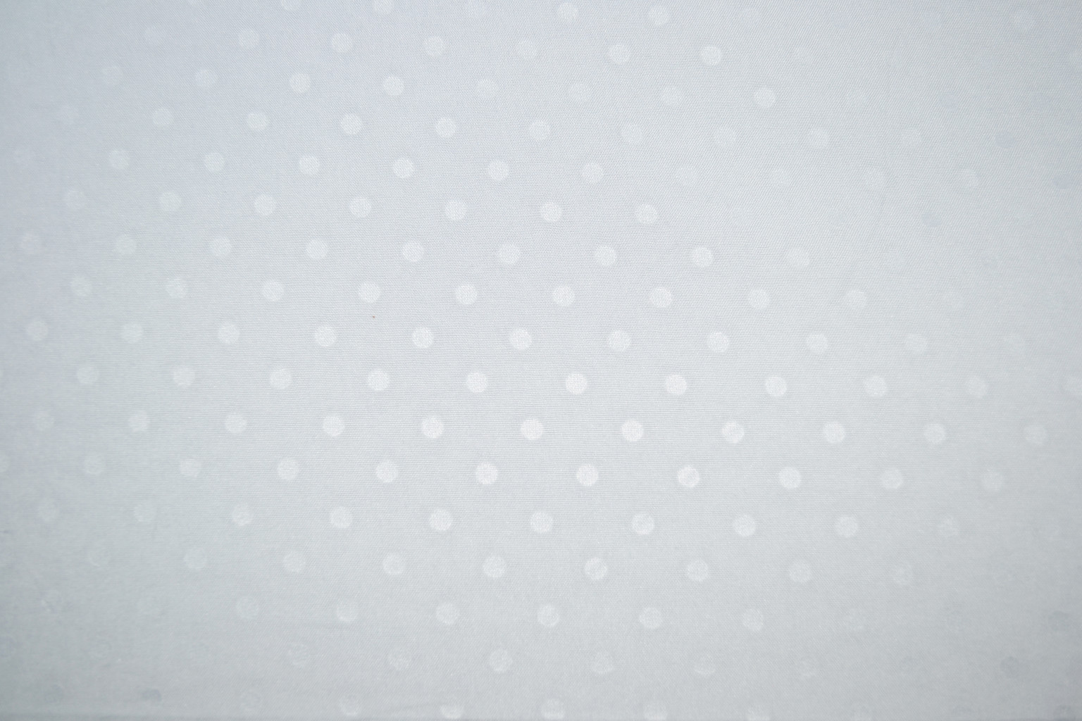 WHITE A.JPG