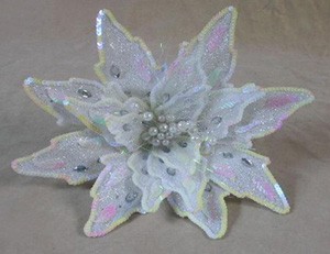 TLN737       2929  425