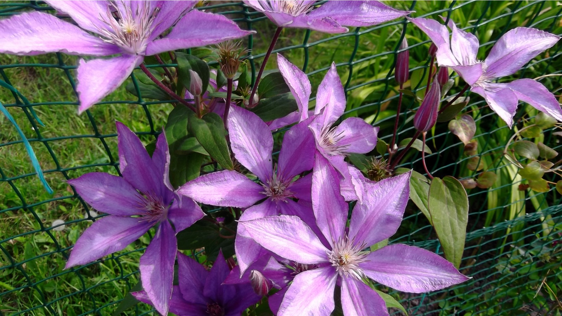 DSCF5826.JPG