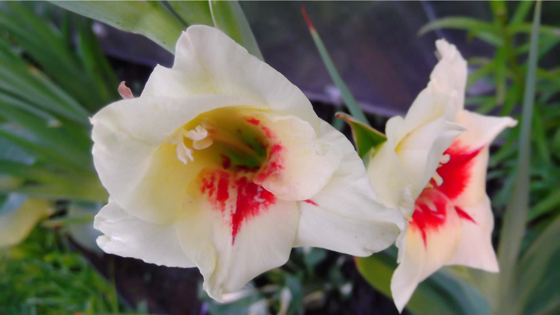DSCF5859.JPG
