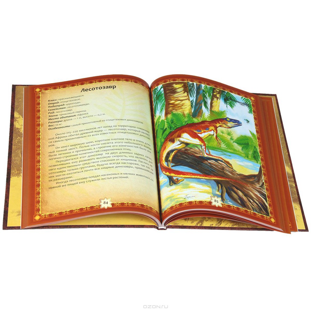 978-5-88944-413-8_ _160 _205260 .jpg