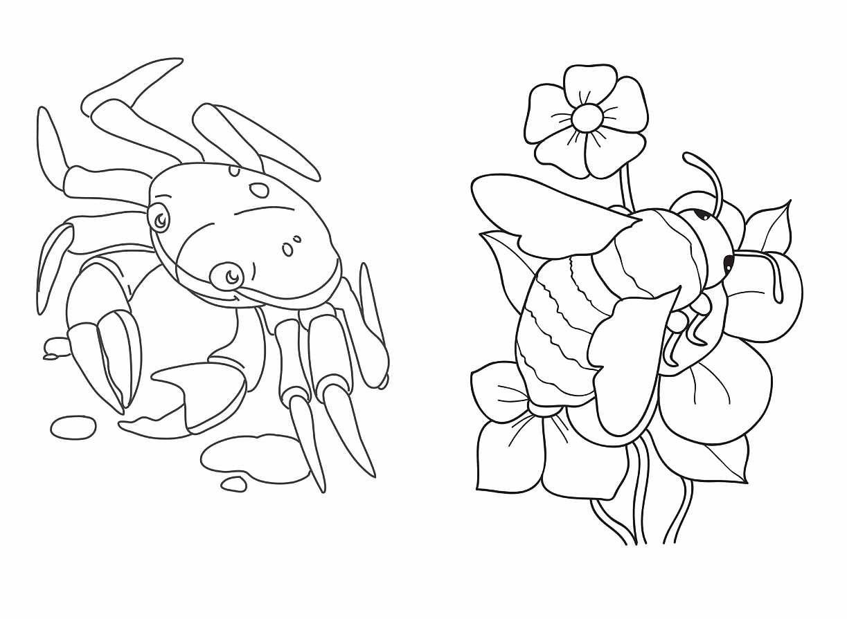 4607929338472_ __.jpg