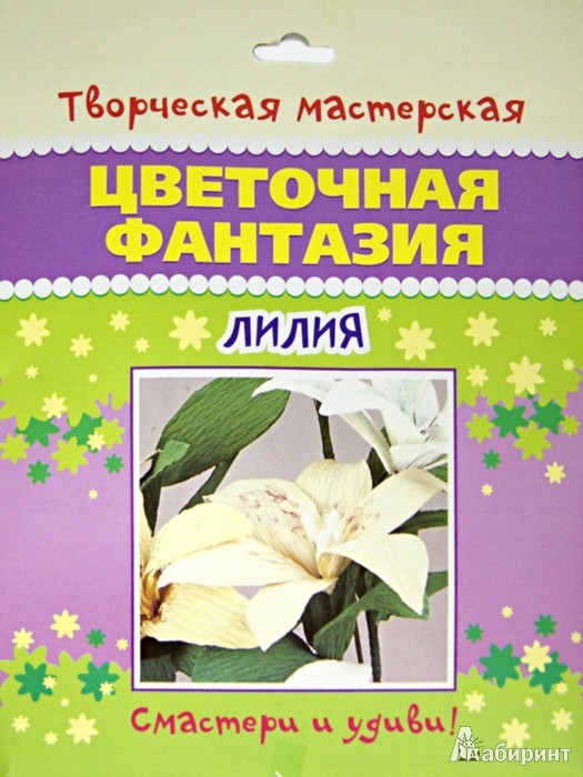 4607929338335_ ( )_62 +%