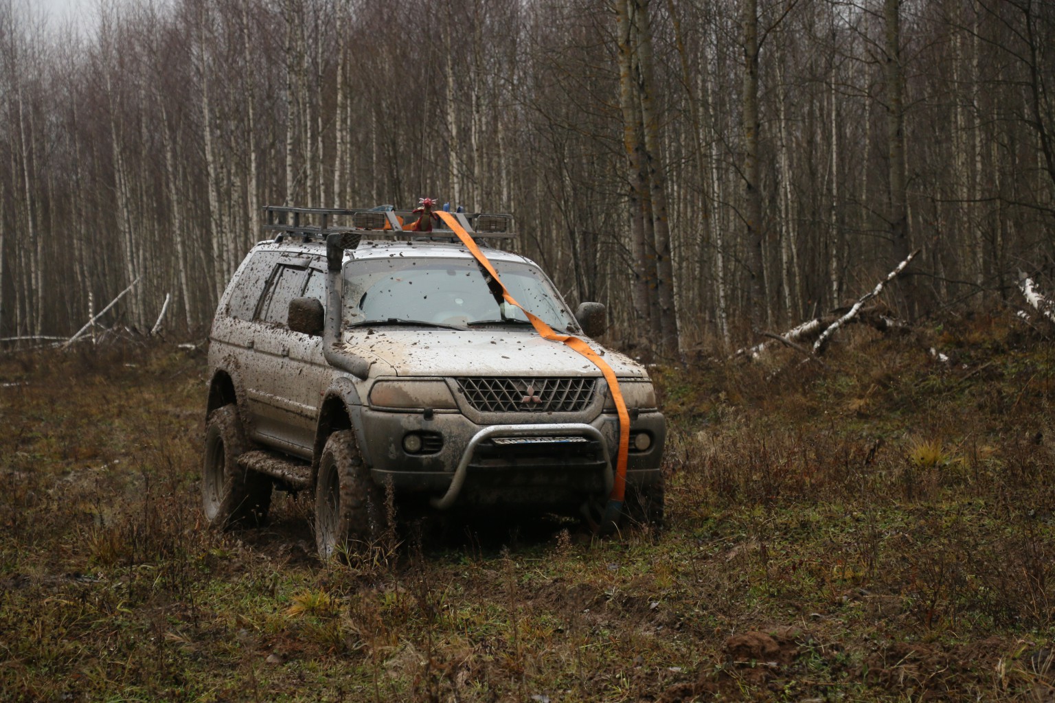 IMG_8674.JPG