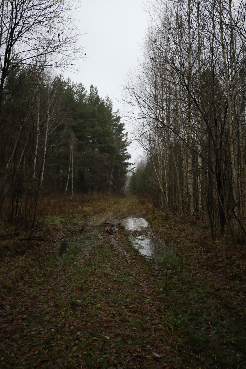 IMG_8680.JPG