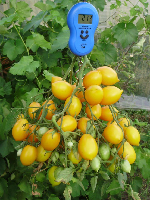 30 руб
