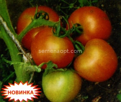 30 руб