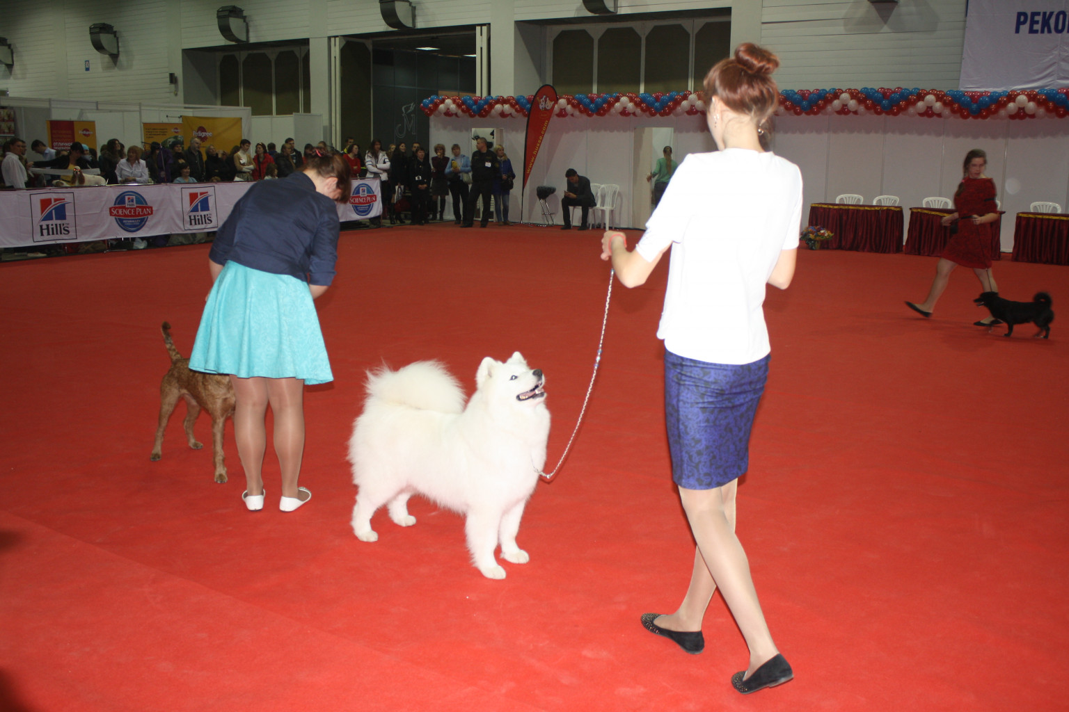 IMG_4016.JPG