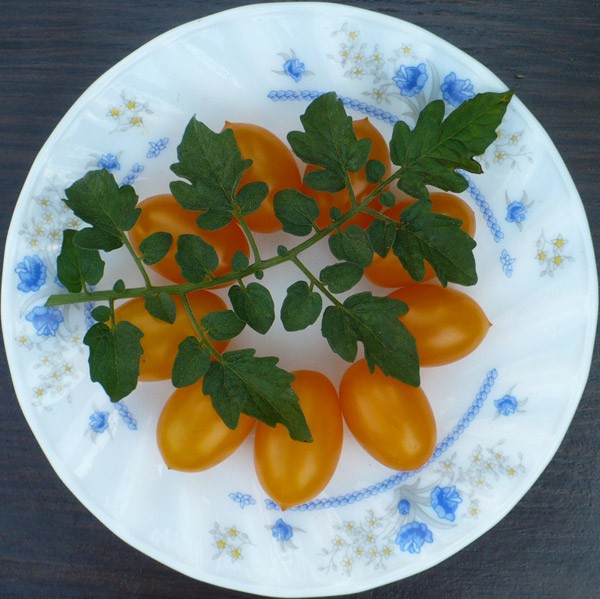 30 руб