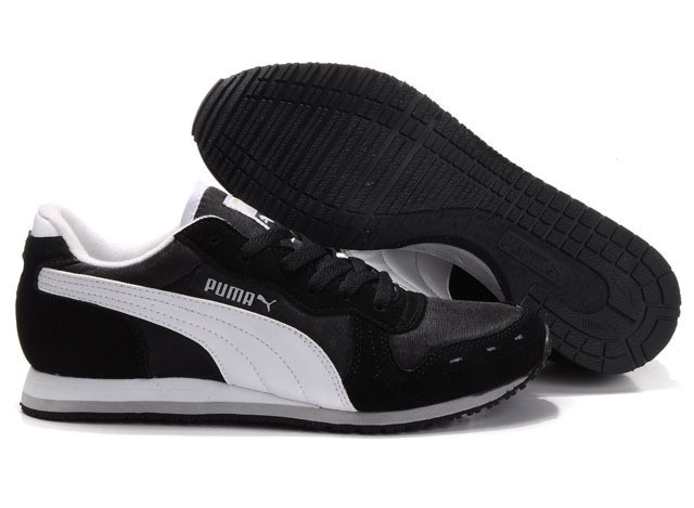 Puma #164.jpg
