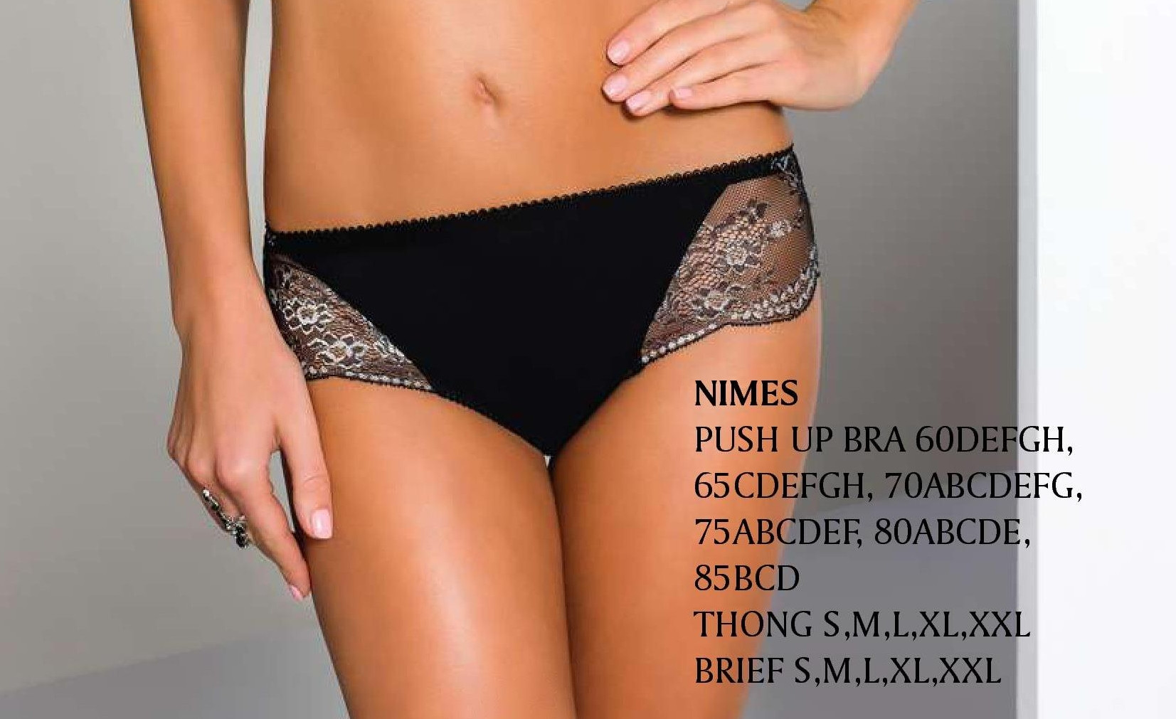 NIMES brief