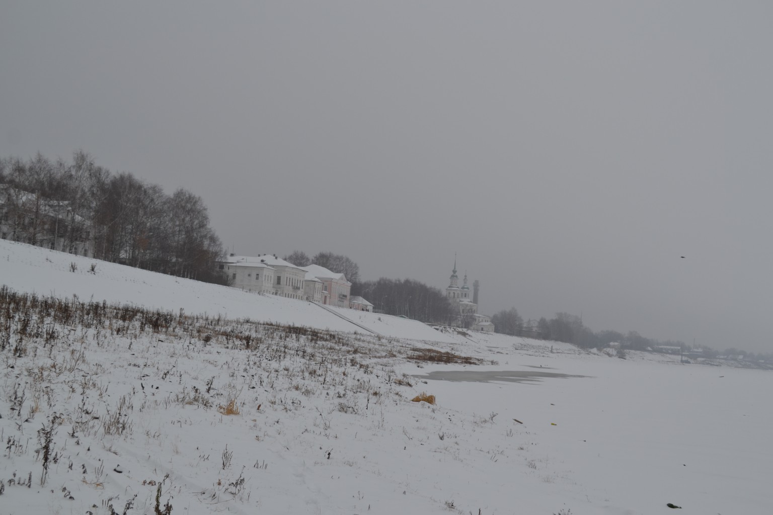 DSC_0875.JPG