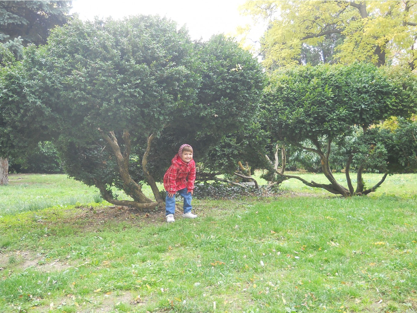 DSCN4648.JPG