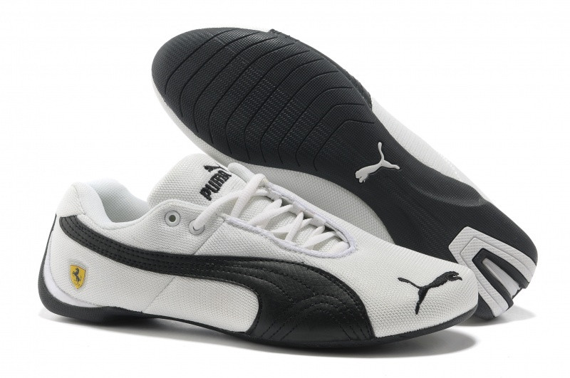 PUMA.jpg