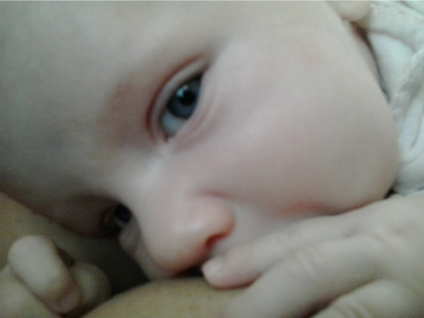 2014-11-22 09.44.35.jpg
