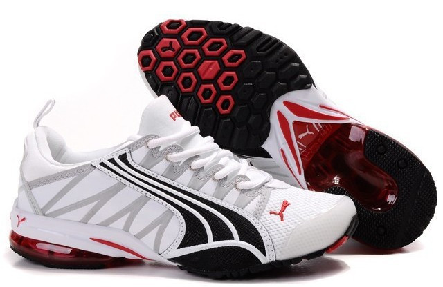 Puma #755.jpg