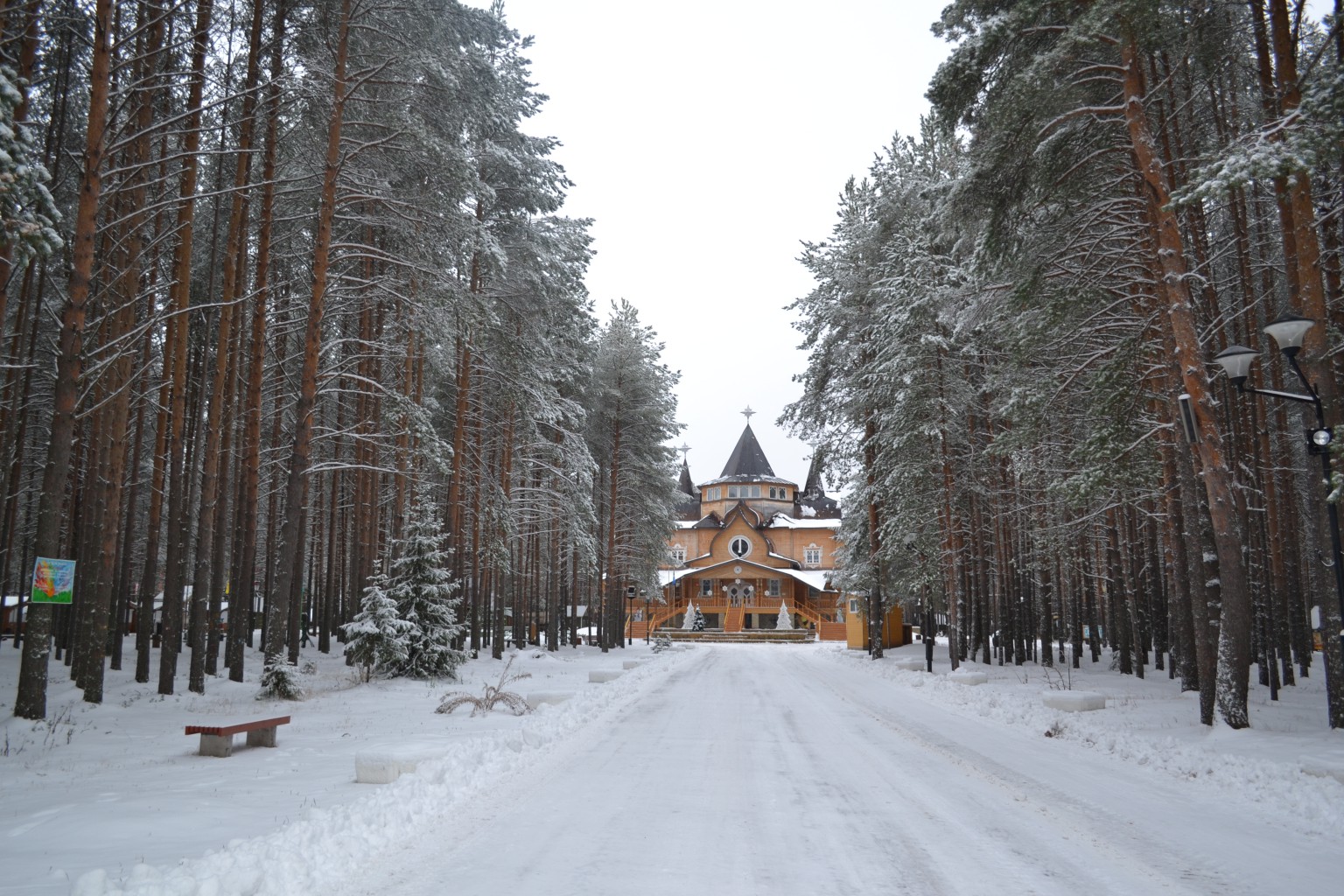 DSC_0908.JPG