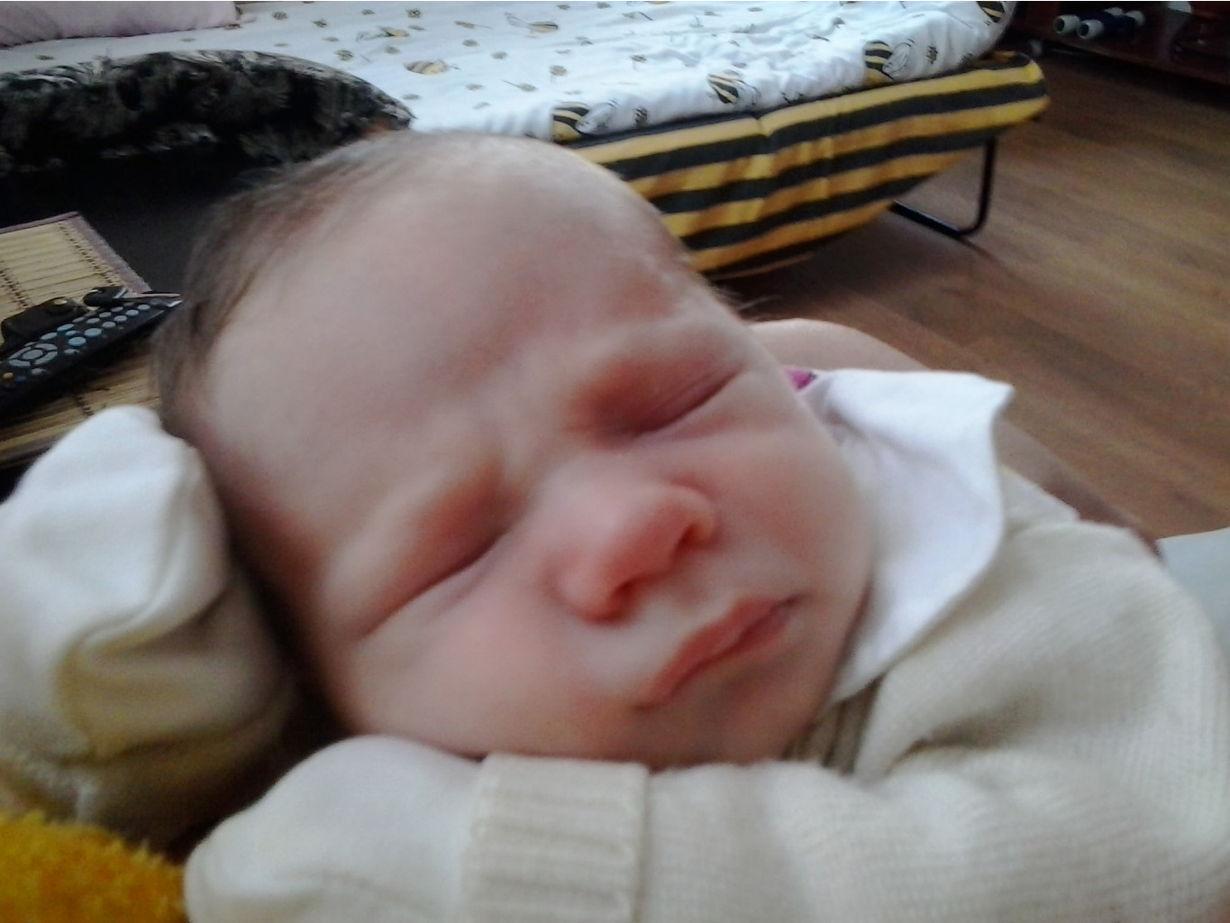 2014-09-27 10.30.20.jpg
