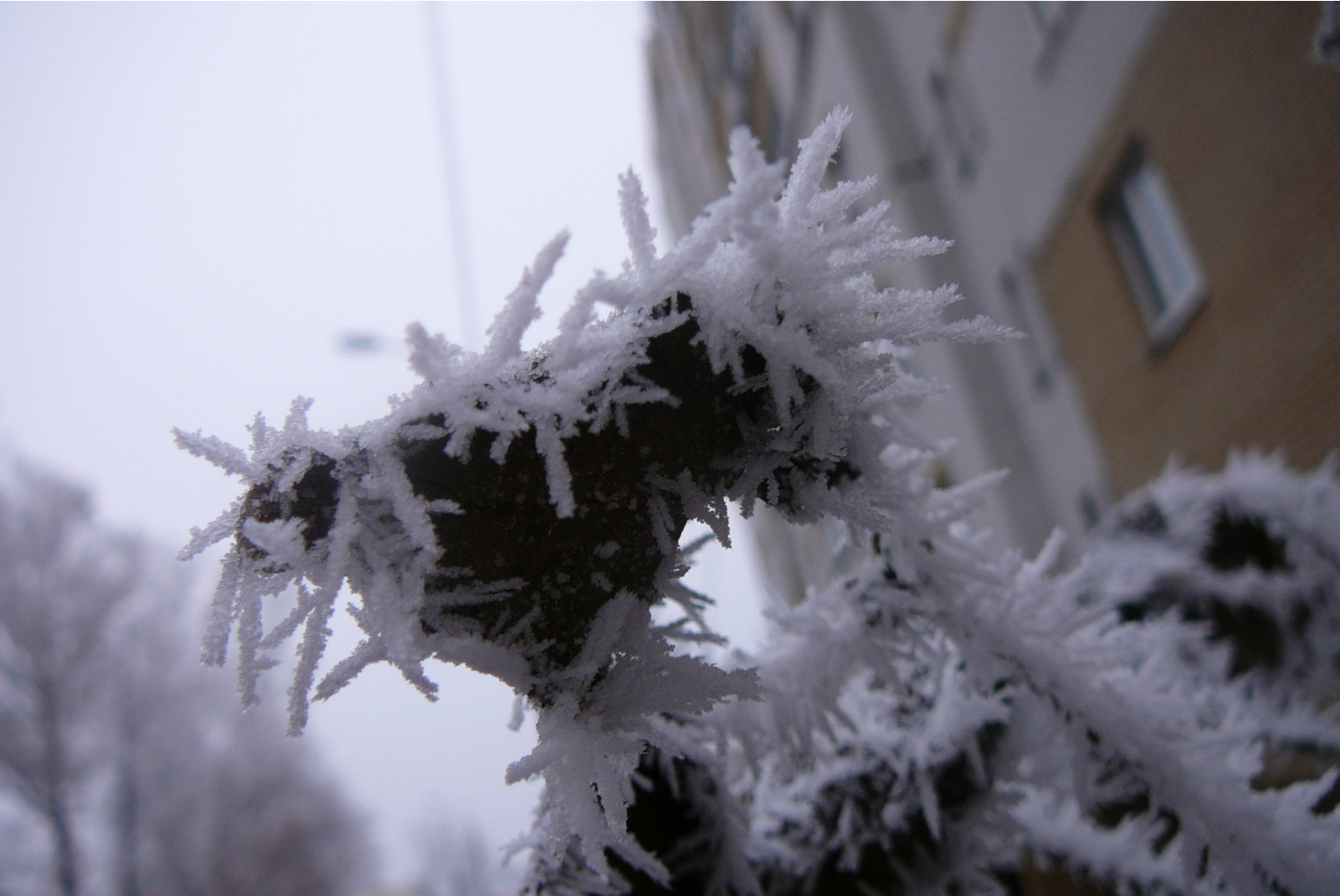 P1150746.JPG
