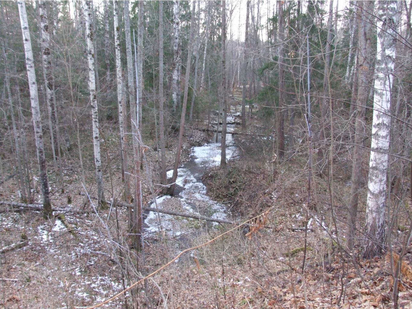 DSCF3882.JPG