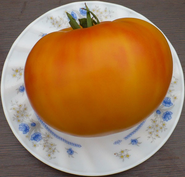 30 руб