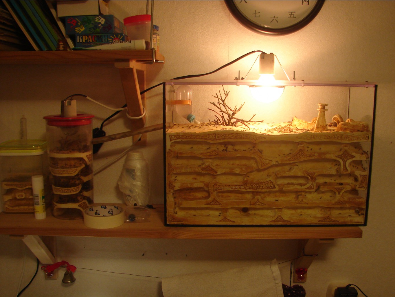 DSC02212.JPG