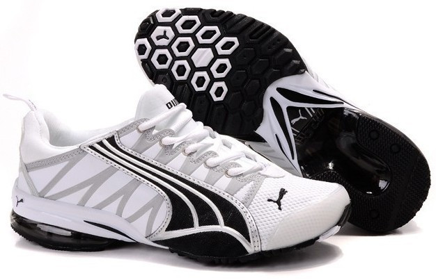 Puma #755.jpg