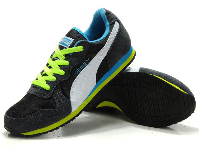 1011 Puma.jpg