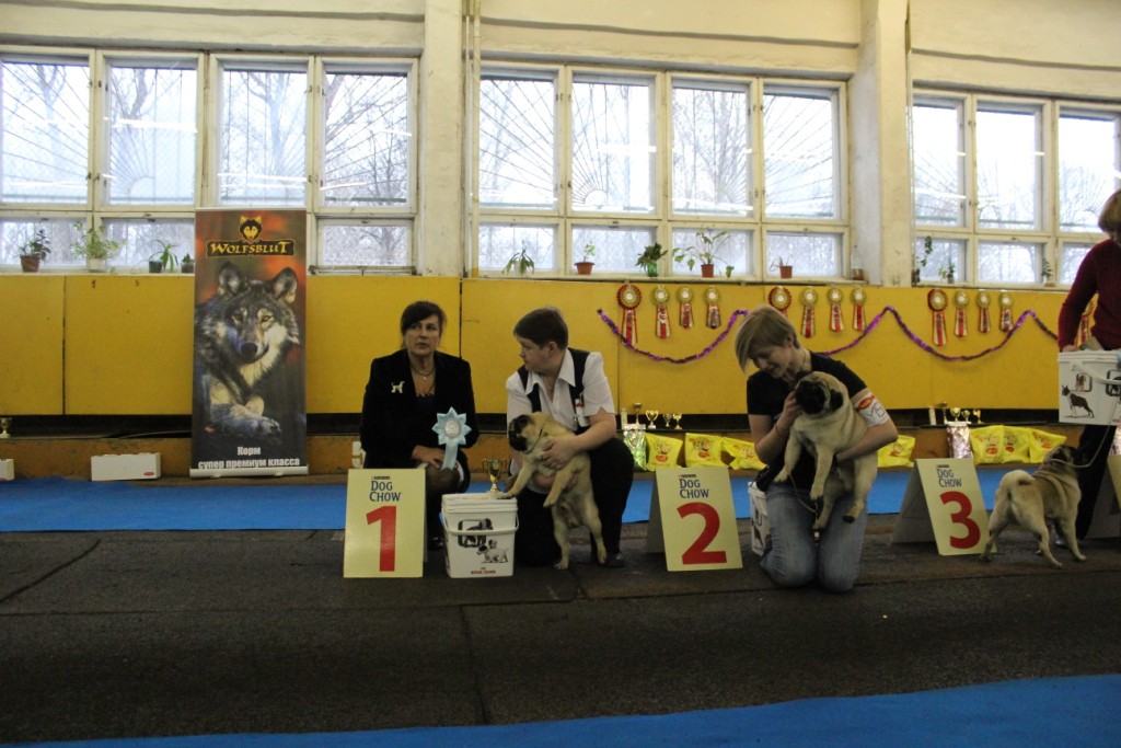 IMG_8823.JPG