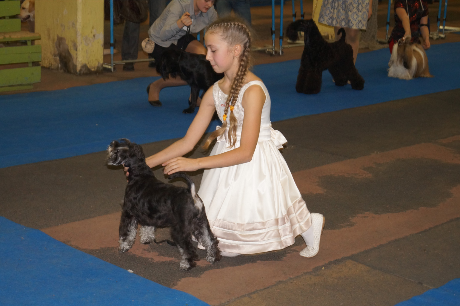 DSC05481.JPG