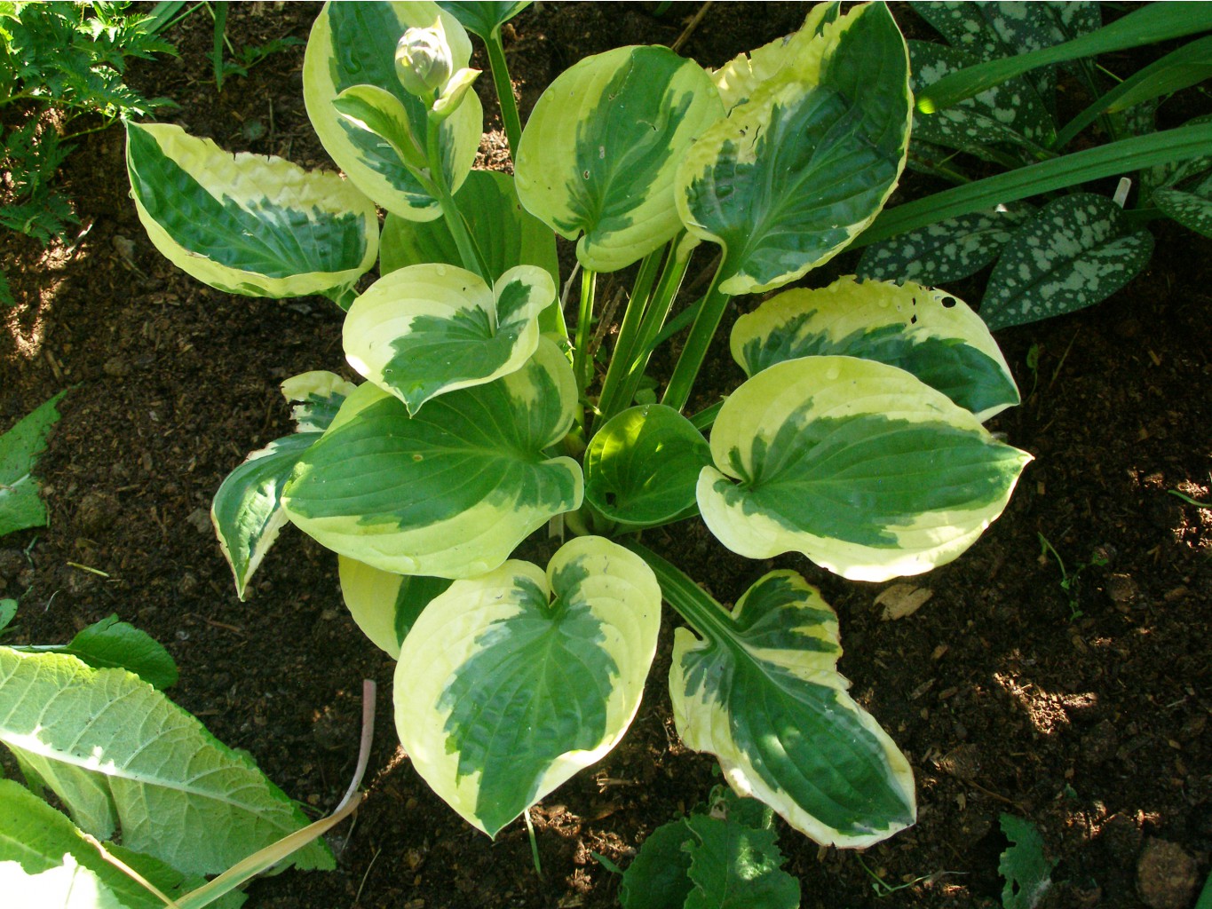   (No4)