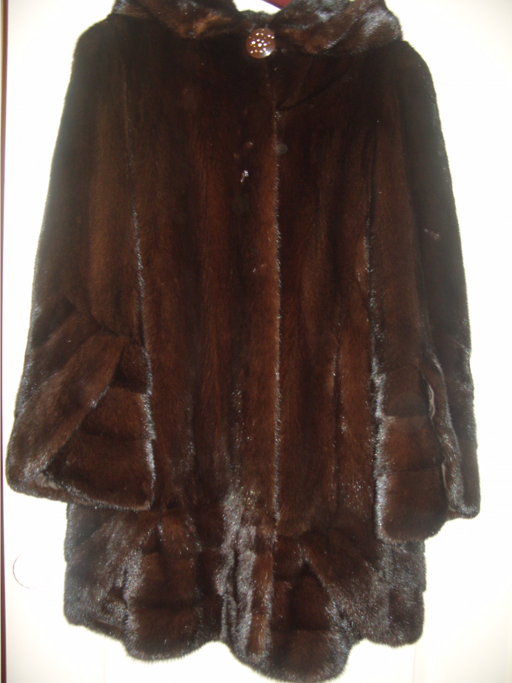 S1050781.JPG
