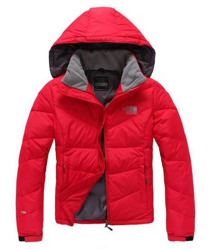   North Face( )-3600..JPG