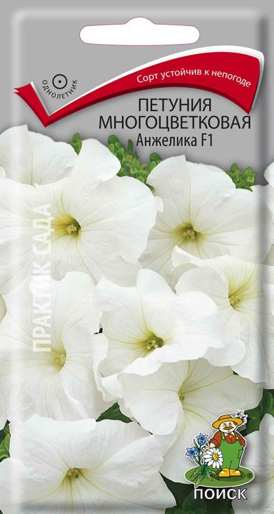 Петуния многоцветковая Анжелика F1.jpg