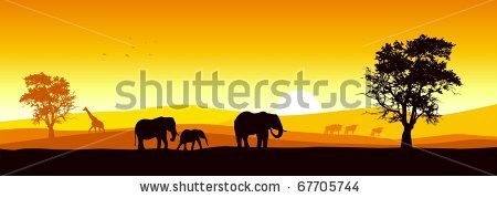 stock-vector-stock-vector-of-african-wildlife-67705744.jpg