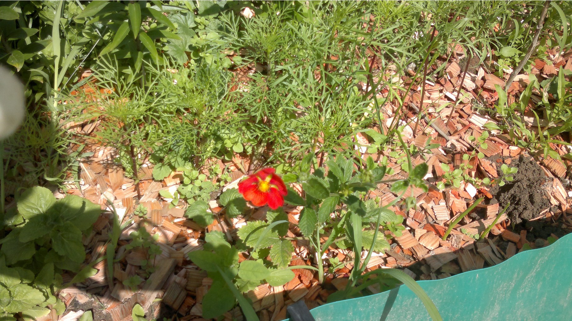 060720142797.jpg