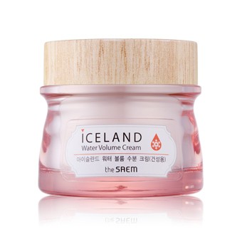 Iceland Hydrating Water Volume Cream(For Dry Skin) 80 876