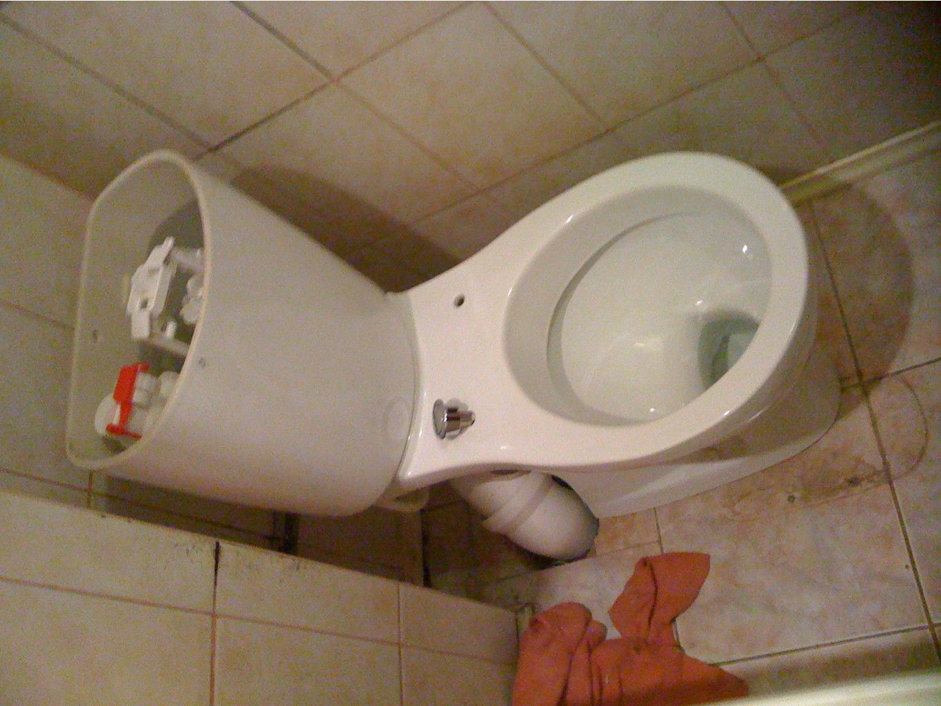image.jpg