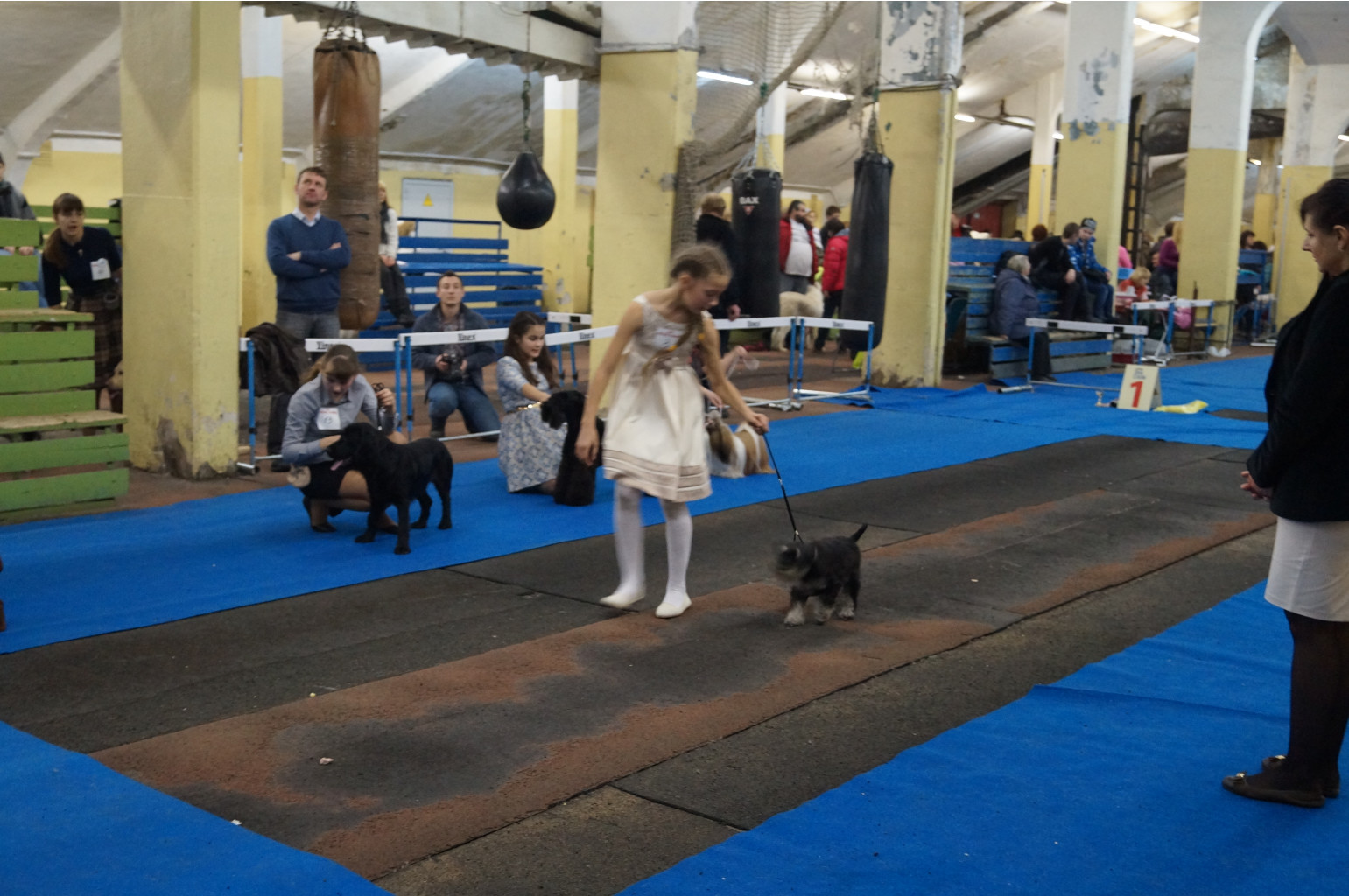 DSC05488.JPG
