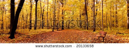 stock-photo-autumn-panorama-20133658.jpg