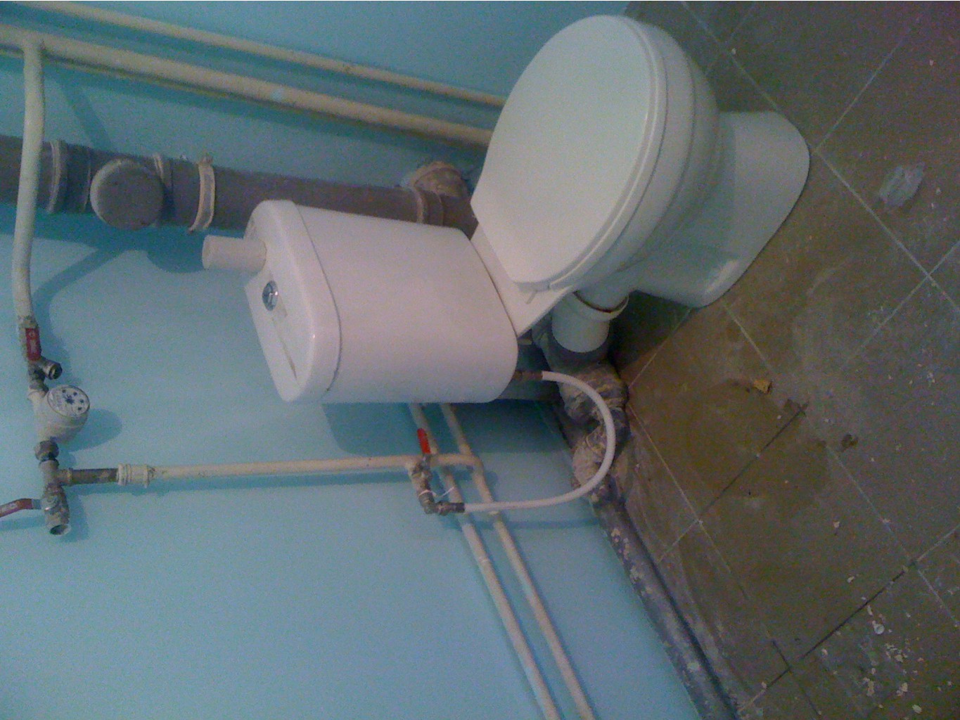 image.jpg
