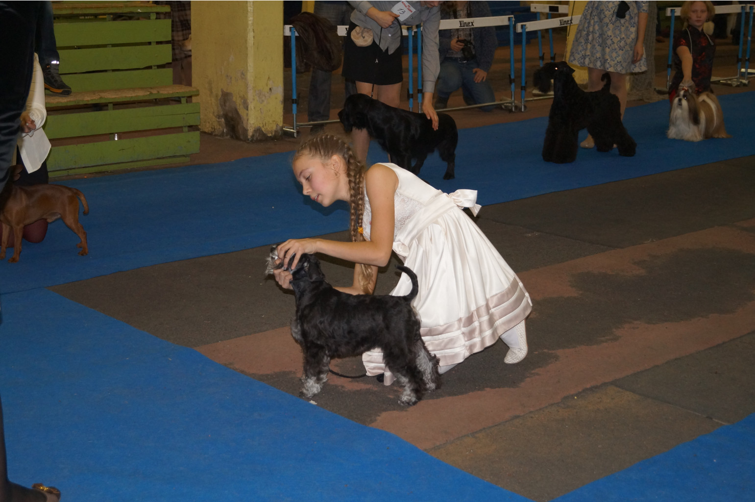 DSC05483.JPG