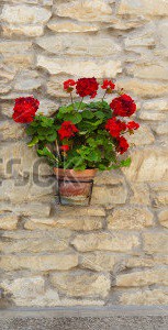 stock-photo-window-in-an-old-house-decorated-with-flower-pots-and-flowers-205028518.jpg