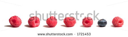 stock-photo-blueberry-in-a-line-of-raspberries-1721453.jpg