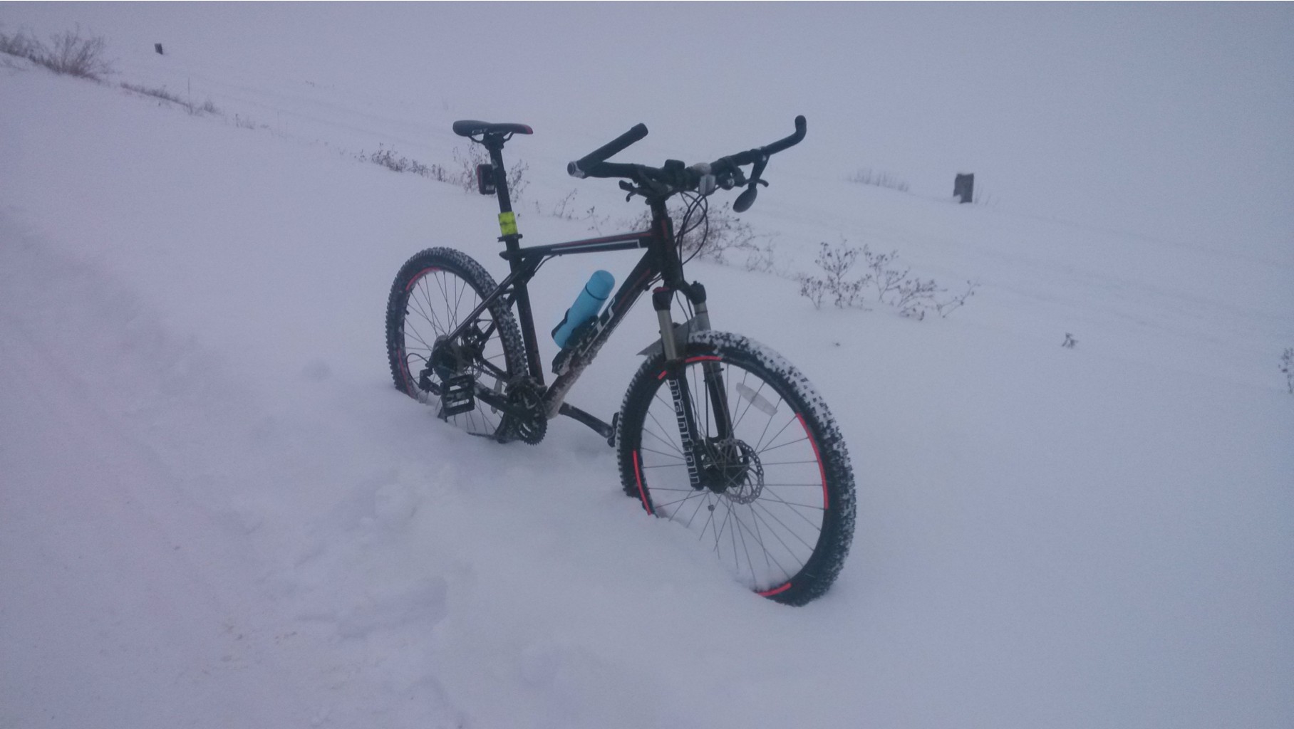 2014-12-30 15.11.55.jpg